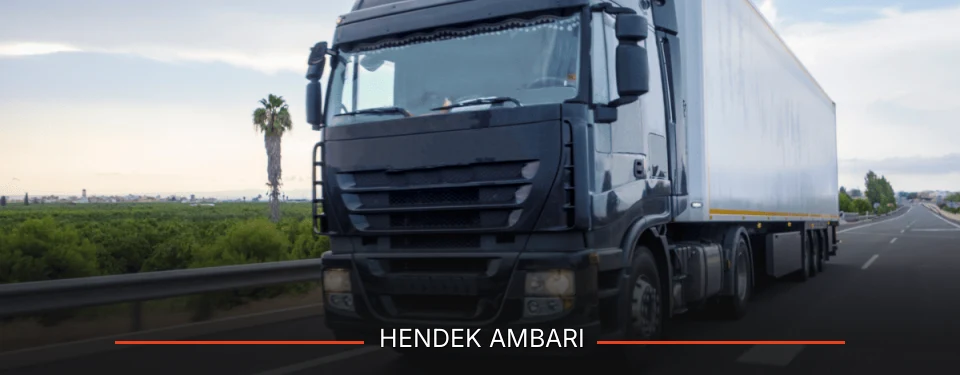 Hendek Ambarı