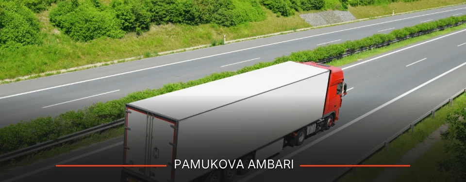 Pamukova Ambarı