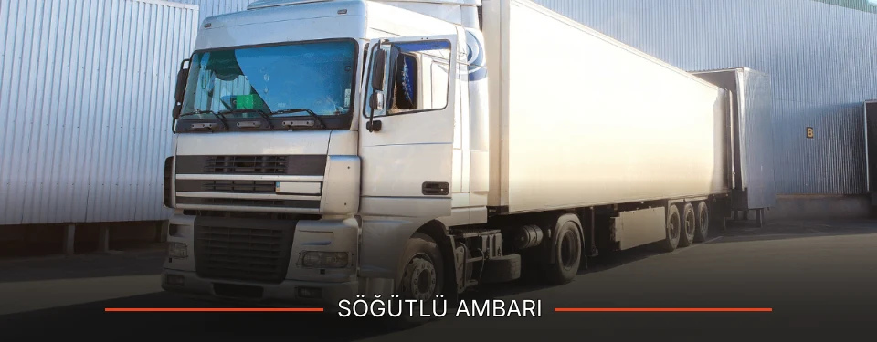Söğütlü Ambarı